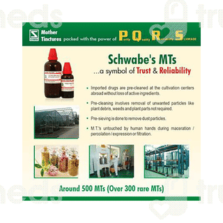 Dr Willmar Schwabe Phytolacca Berry Q Mother Tincture 30ml